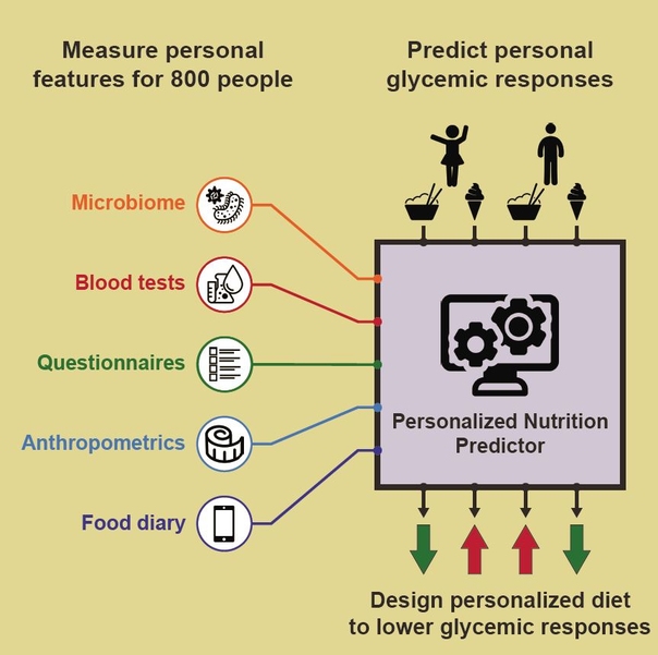 Personalised nutrition predictor? Maybe soon!
